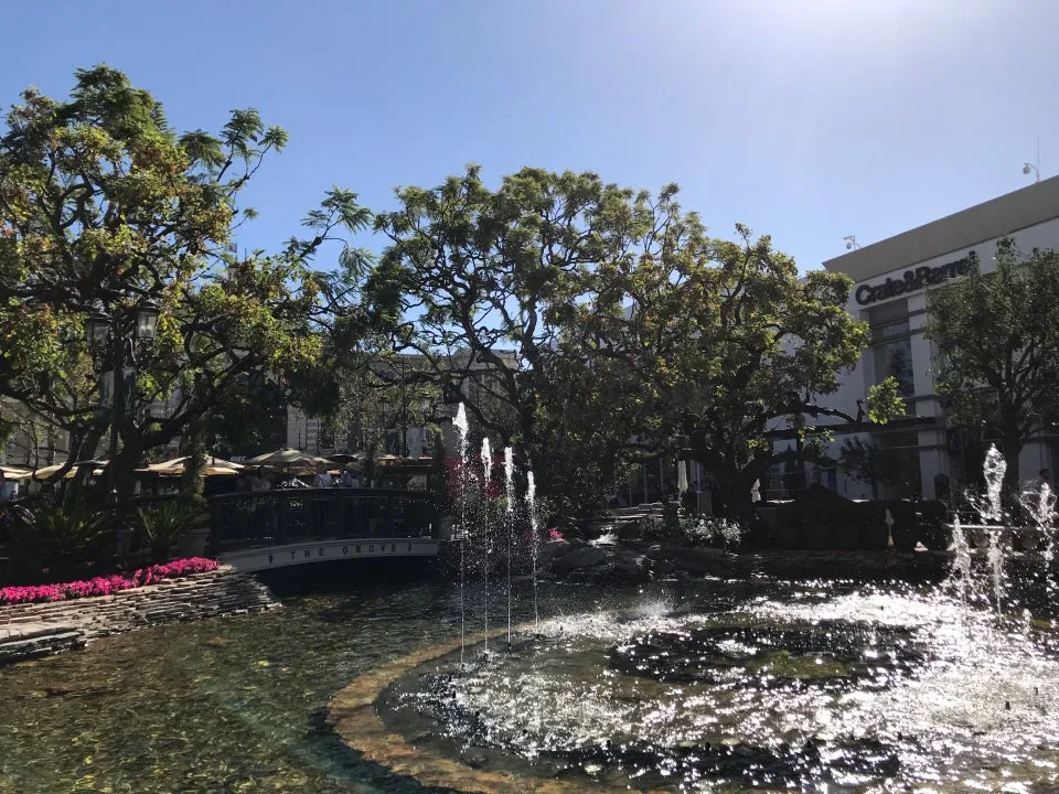 The Grove