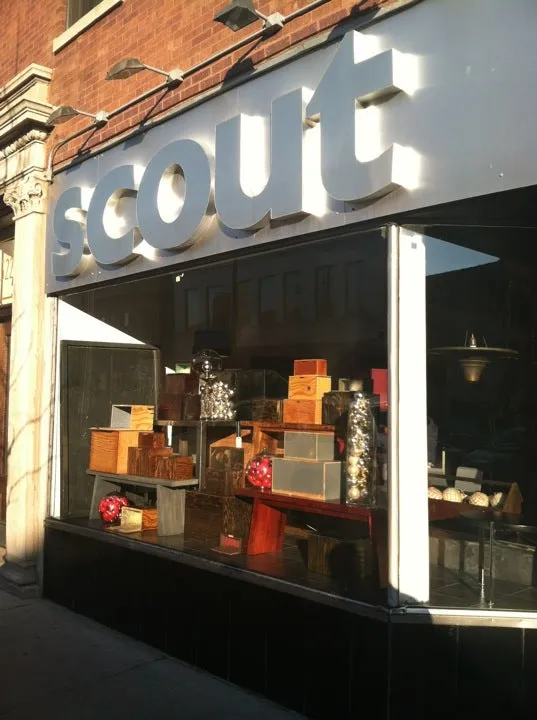 Scout