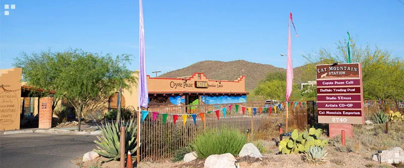 Cat Mountain Station