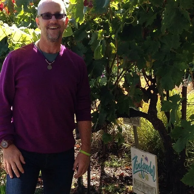 Sophie's Cellars