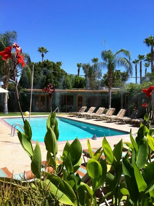 Vista Grande Resort - A Gay Men's Resort
