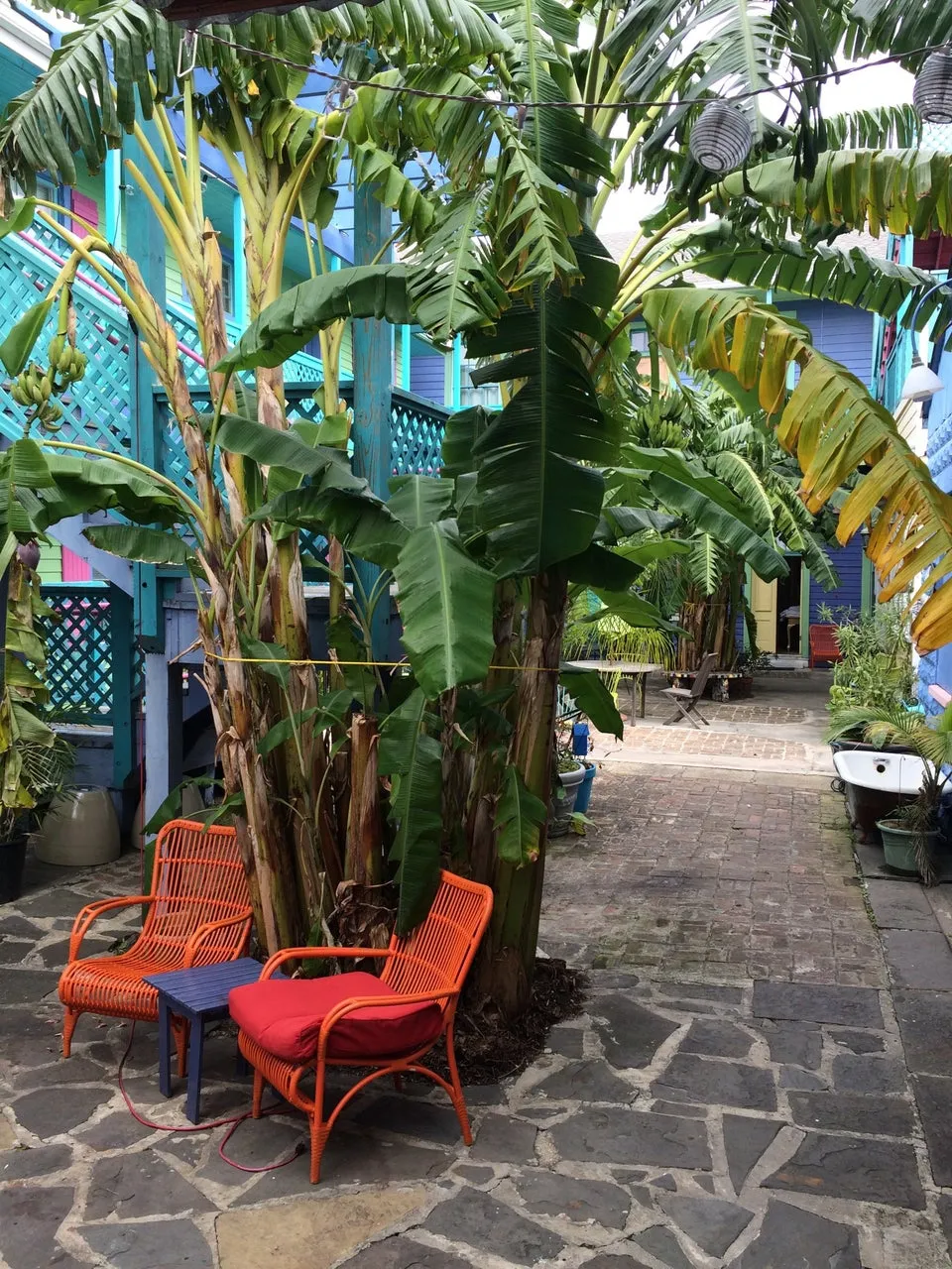 Creole Gardens Bed & Breakfast