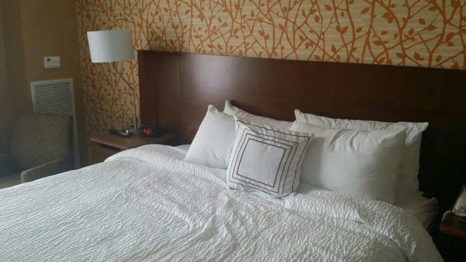 74 State Hotel Downtown Albany NY