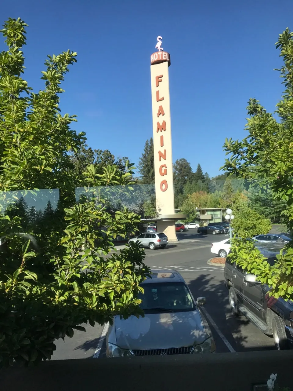 Flamingo Resort Hotel