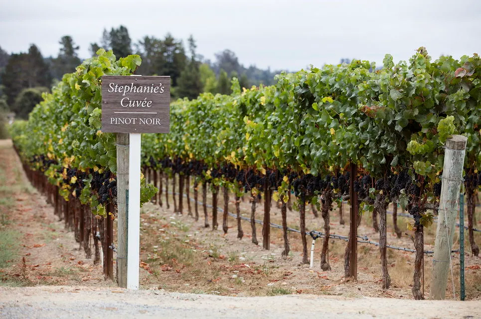 River Road Cellar