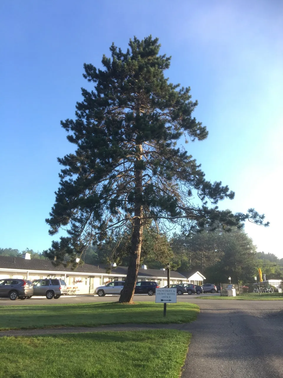 Stowe Motel & Snowdrift Inn