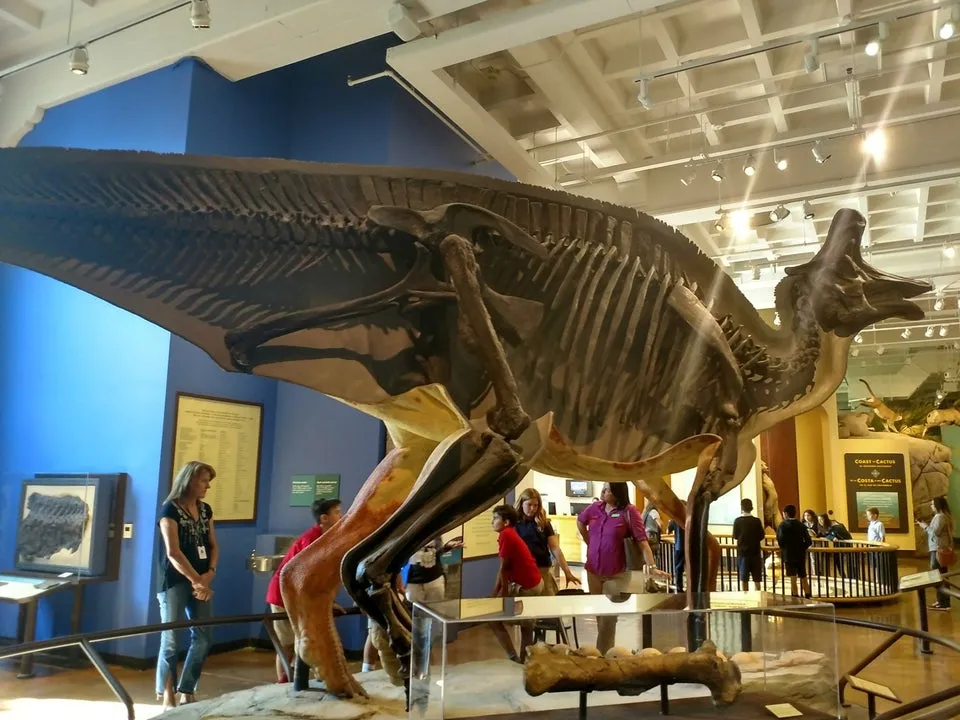 Natural History Museum