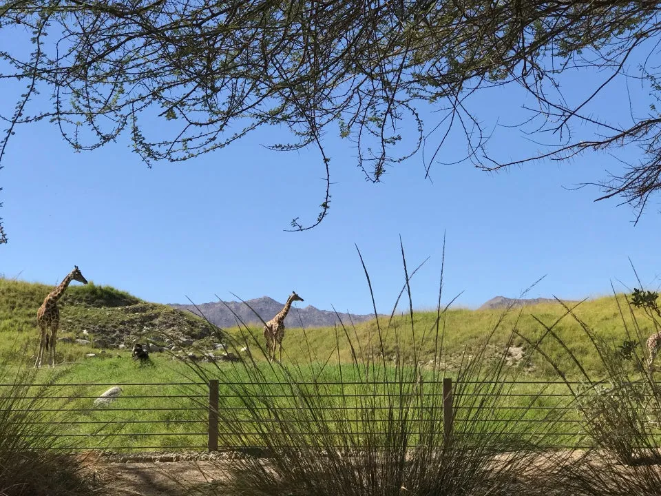 The Living Desert