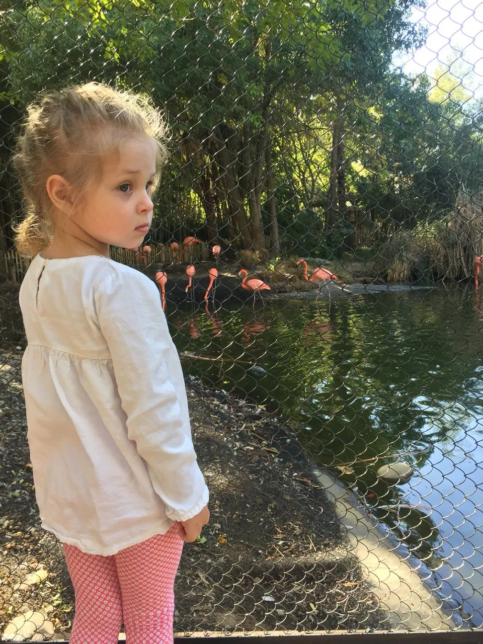 Sacramento Zoo