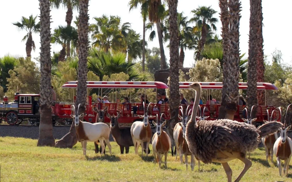 Wildlife World Zoo, Aquarium & Safari Park