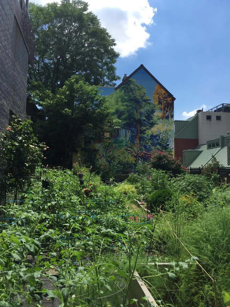 Philadelphia Mural Arts