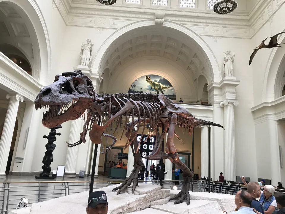Field Museum