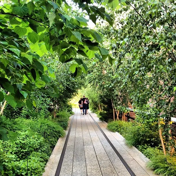 The High Line