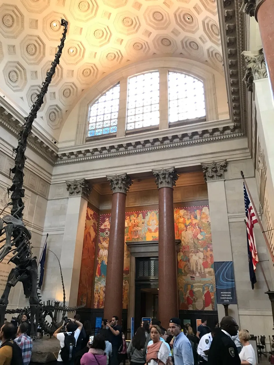 American Museum of Natural History