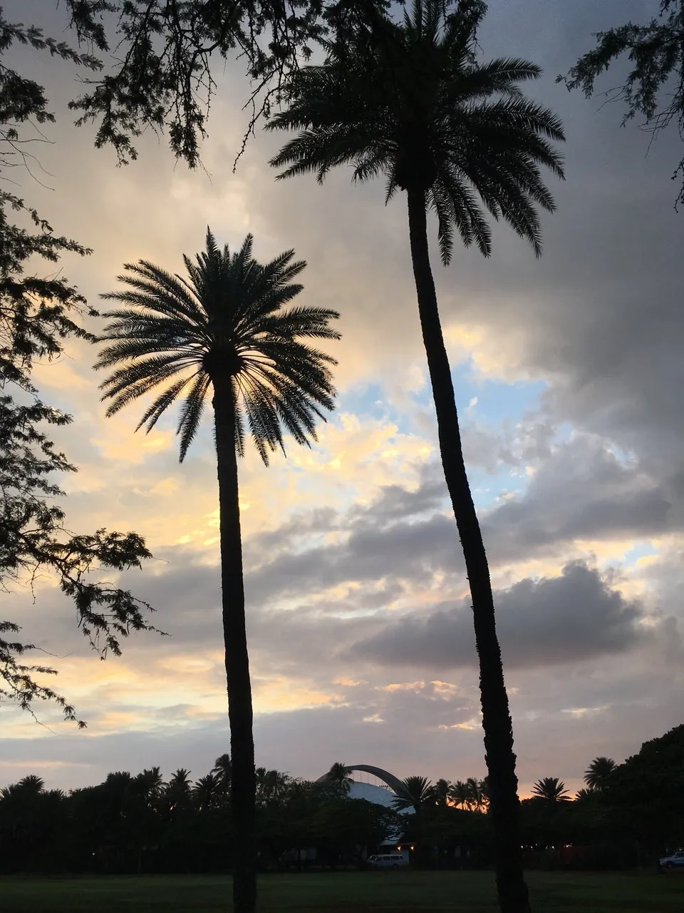 Waikiki Shell