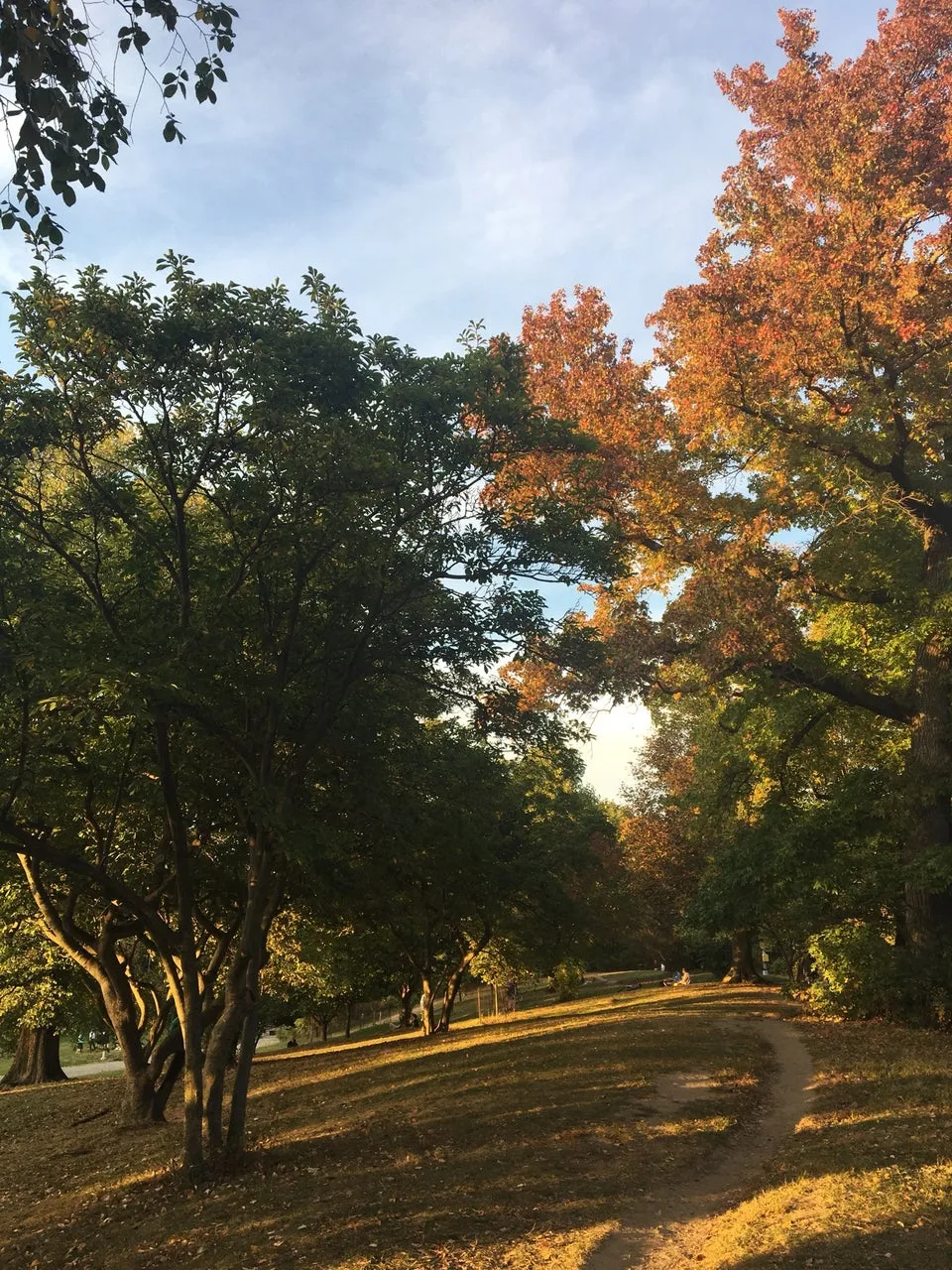Prospect Park