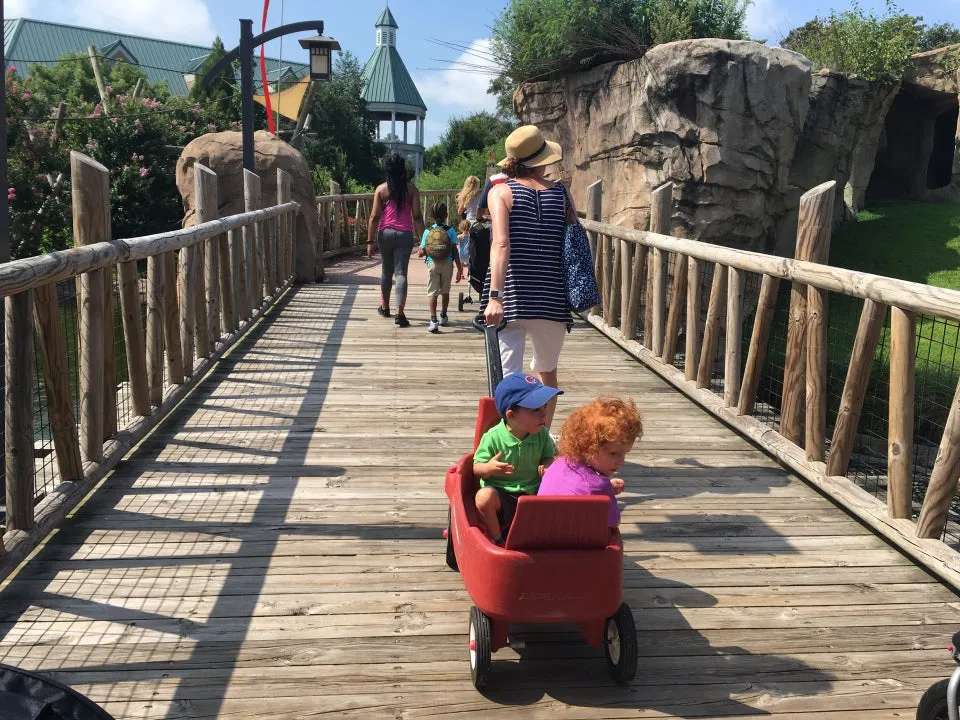Virginia Zoo in Norfolk