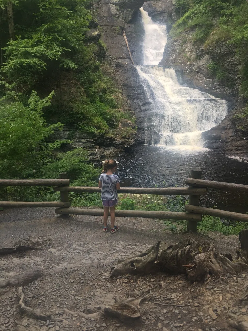 Raymondskill Falls