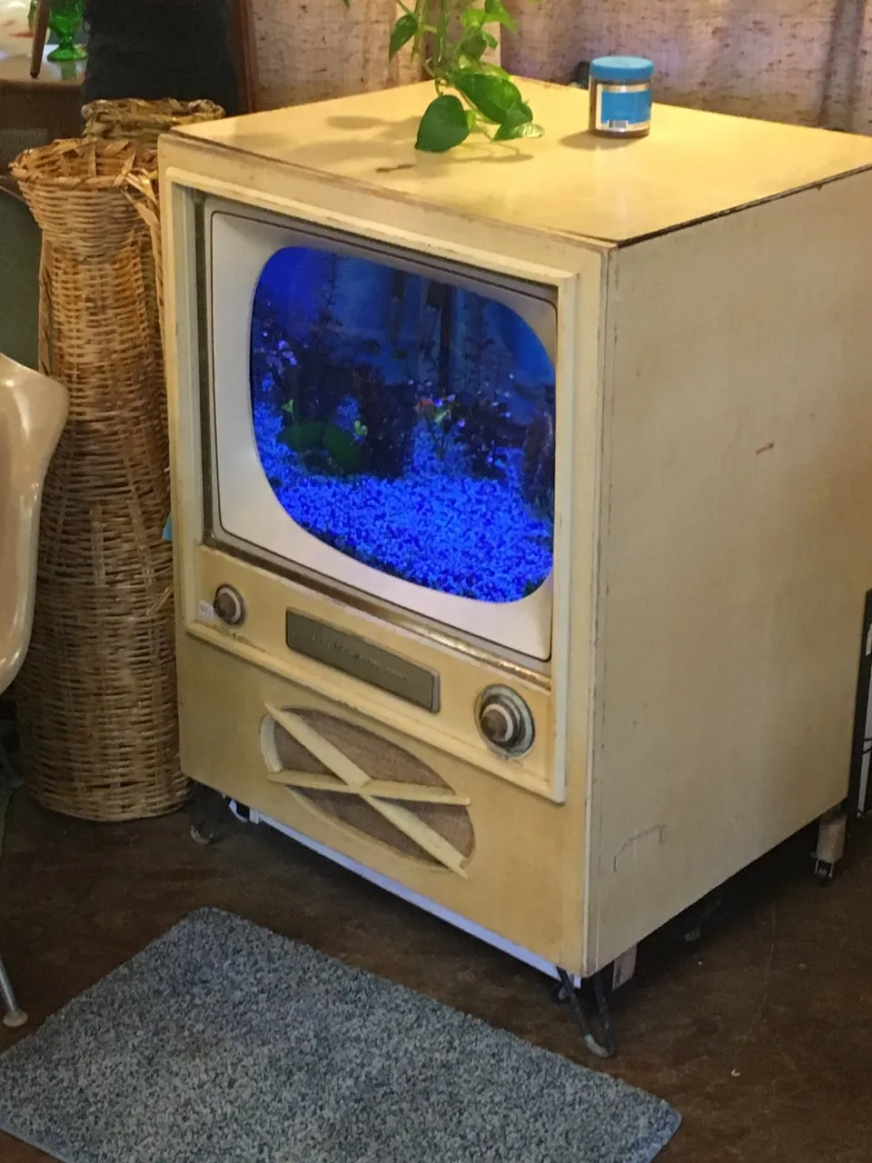 Nostalgia