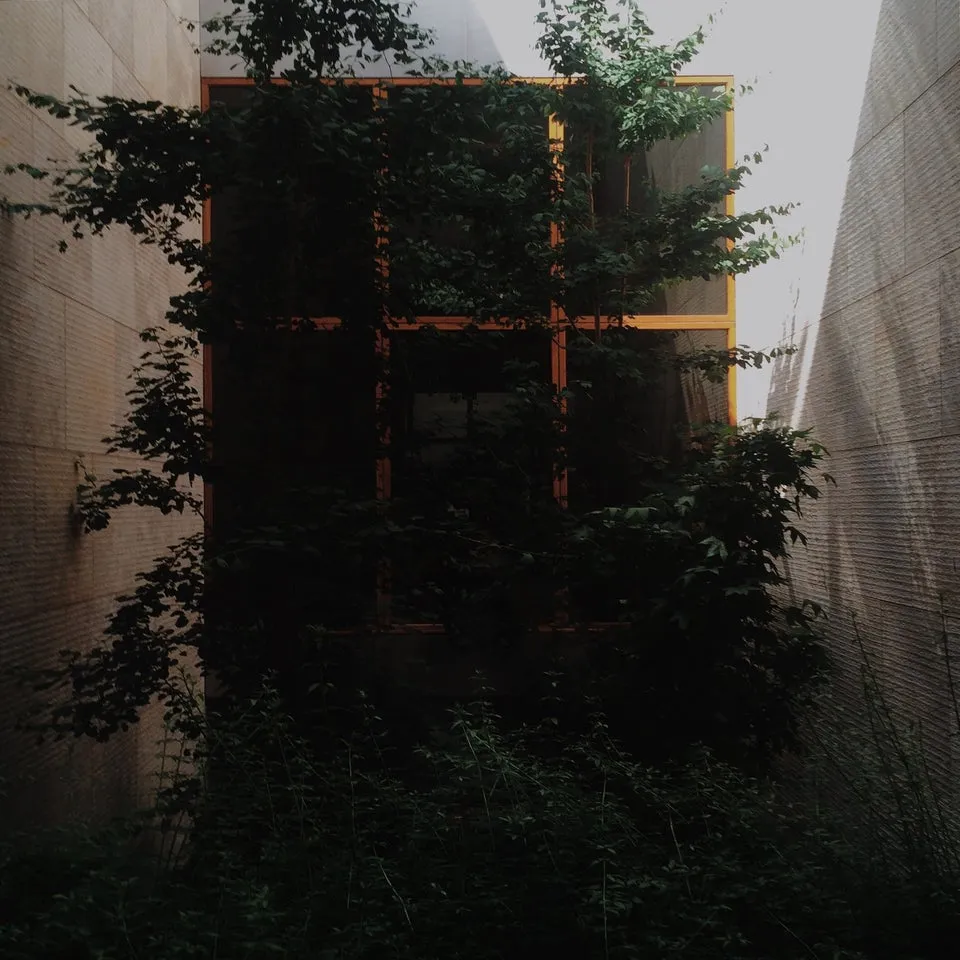 Barnes Foundation