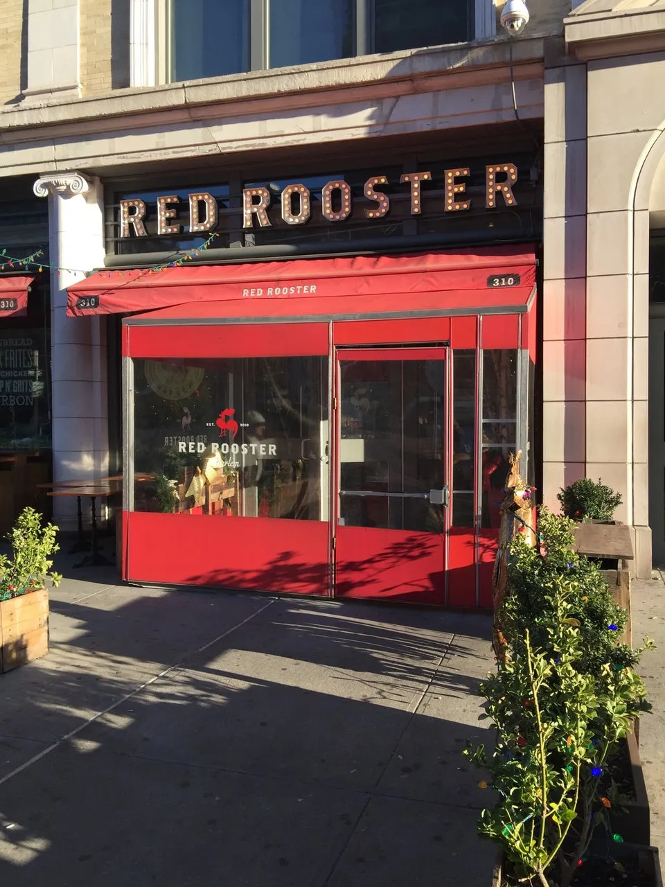Red Rooster