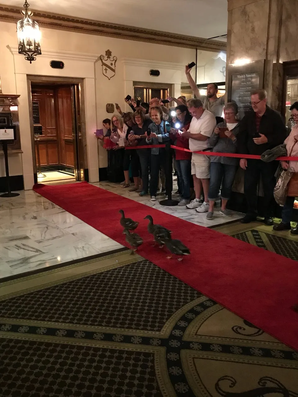 The Peabody Memphis