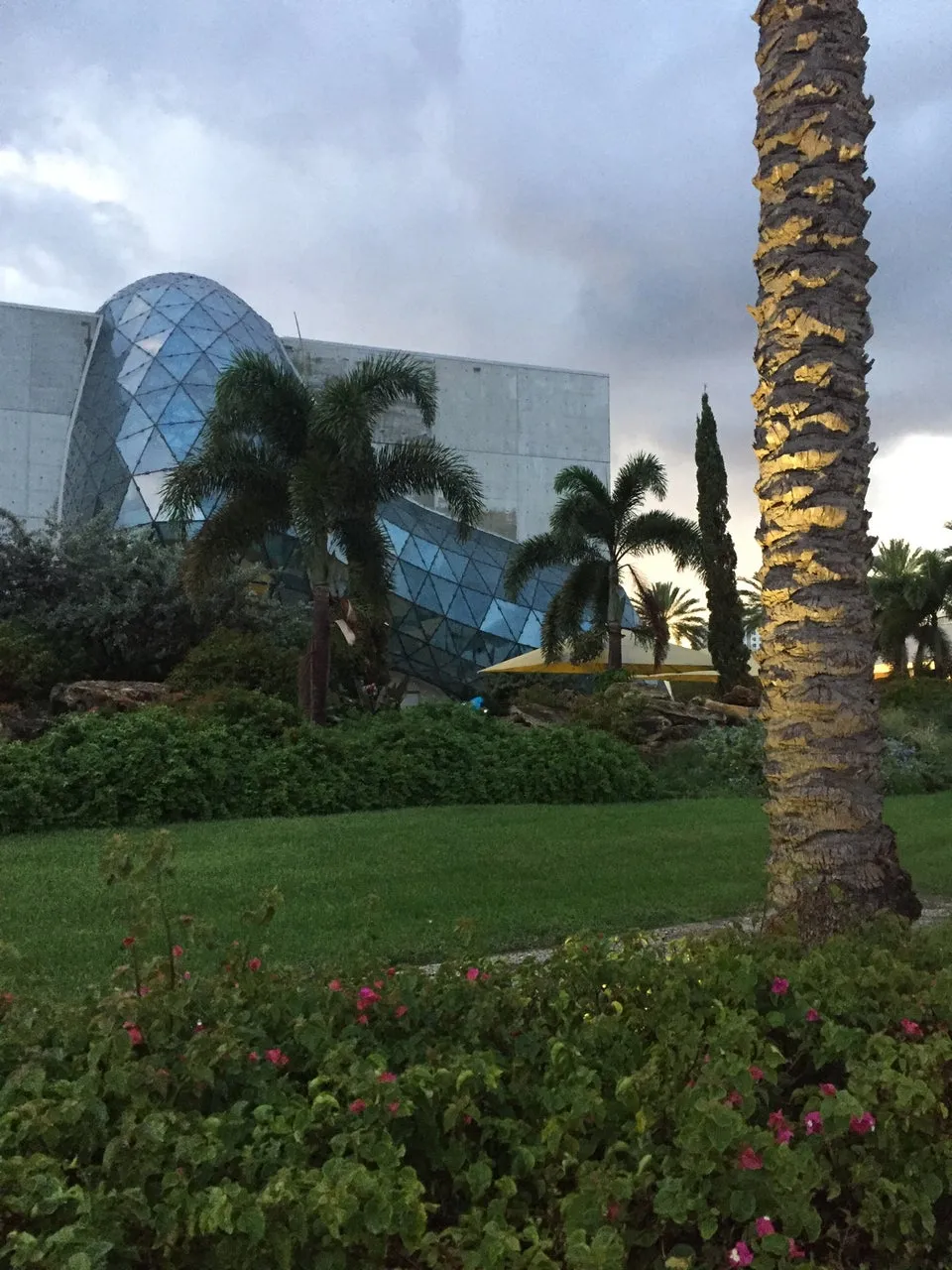 The Dali Museum