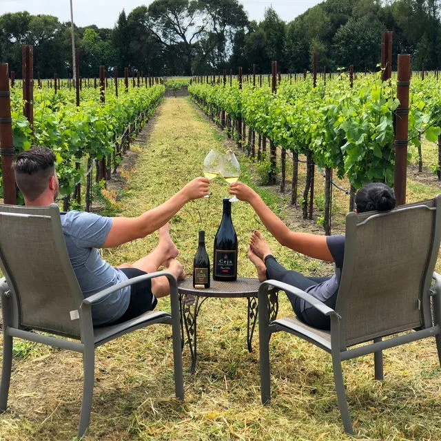 Ceja Vineyards Wine Salon Lounge & Art Gallery
