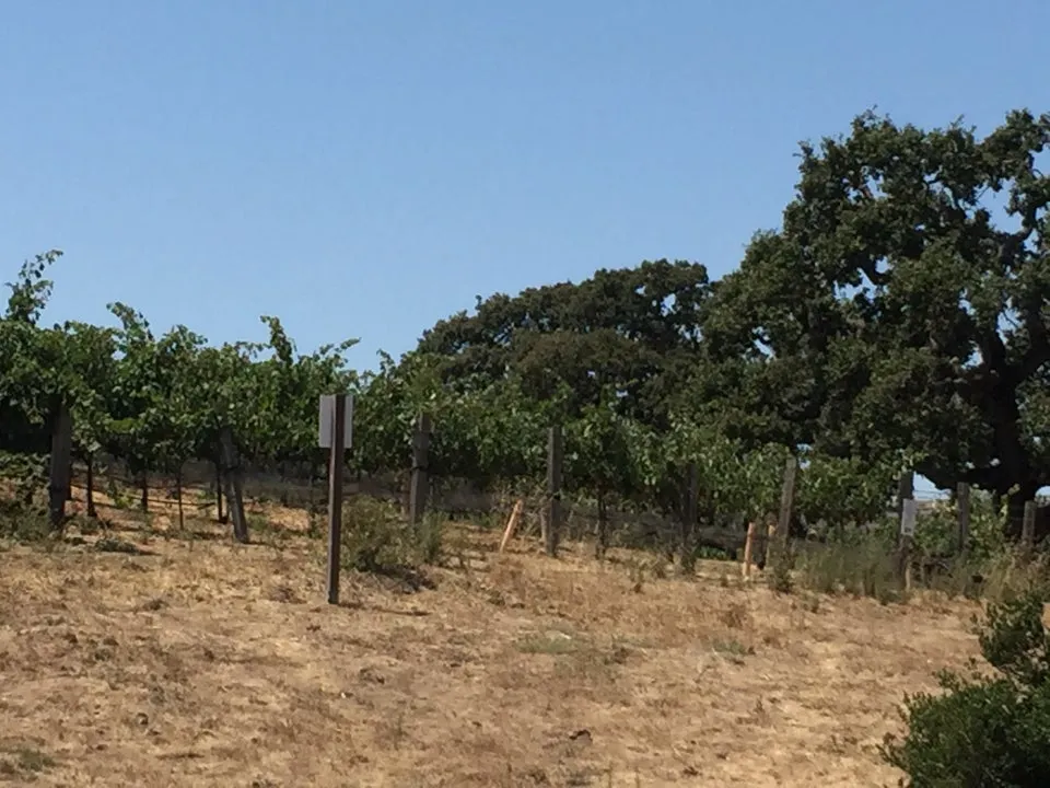 Meritage Resort at Napa