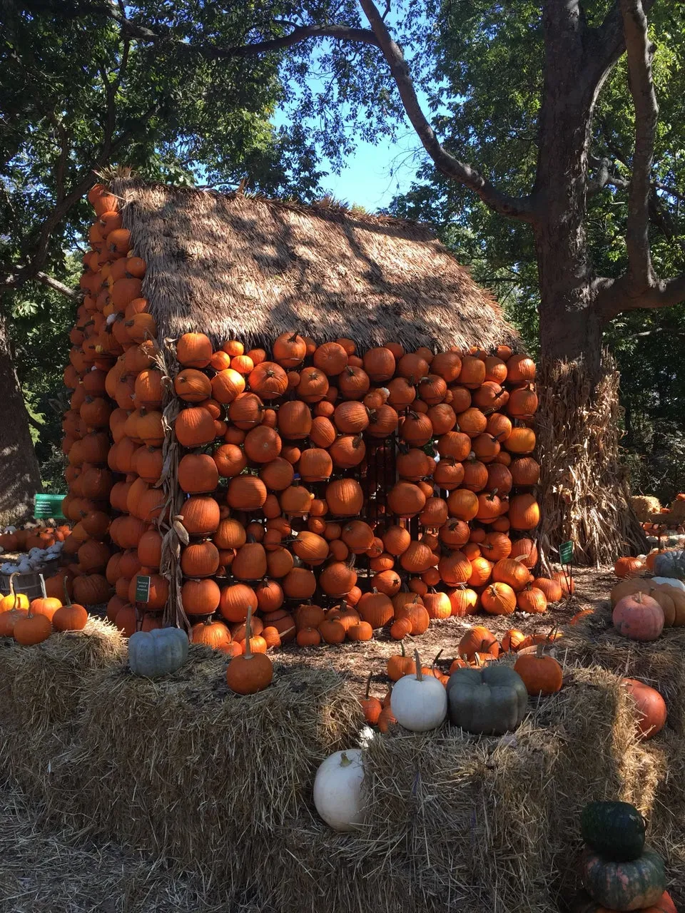 Cheekwood Botanical Gardens & Museum