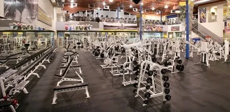 24 Hour Fitness