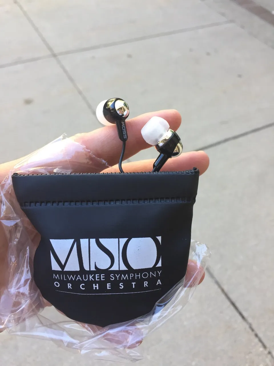Milwaukee Symphony Orchestra