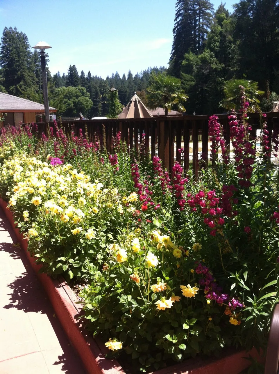 Northwood Lodge