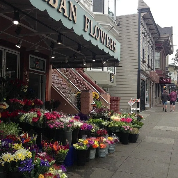 Urban Flowers