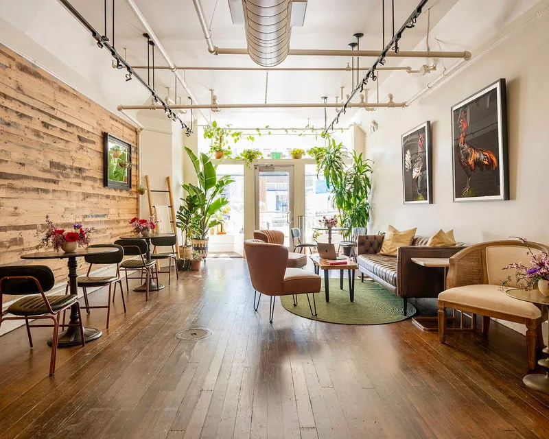 The Academy SF