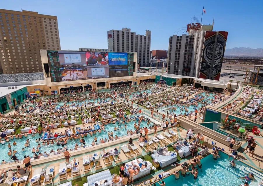 Stadium Swim