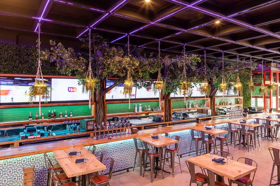 Tree House Chicago