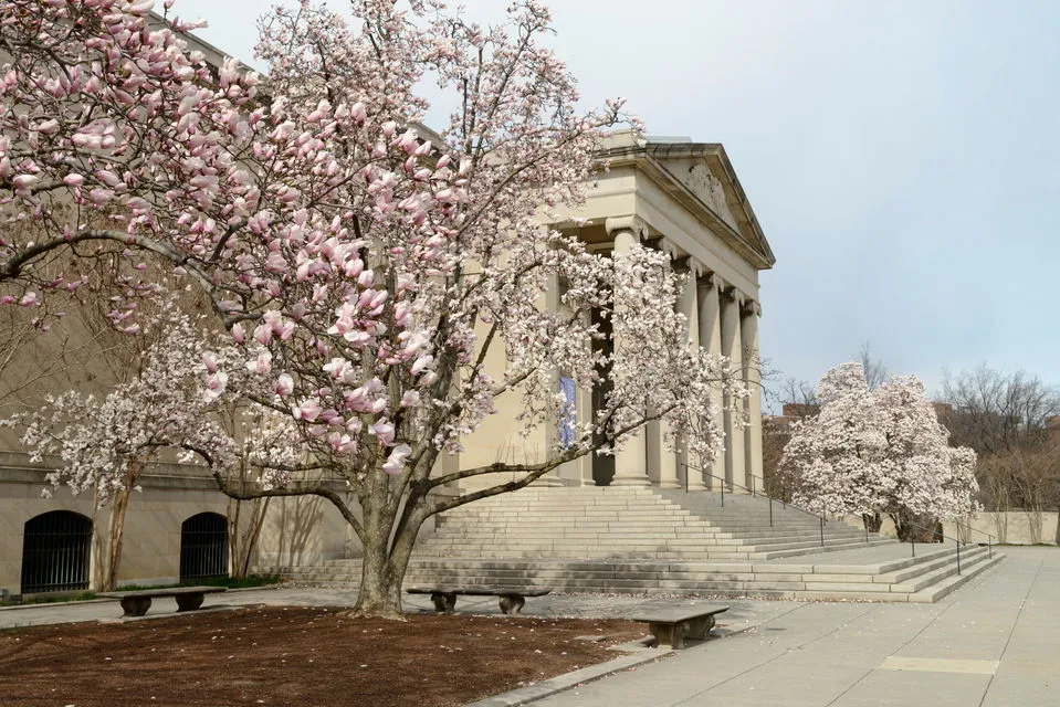 Baltimore Museum of Art