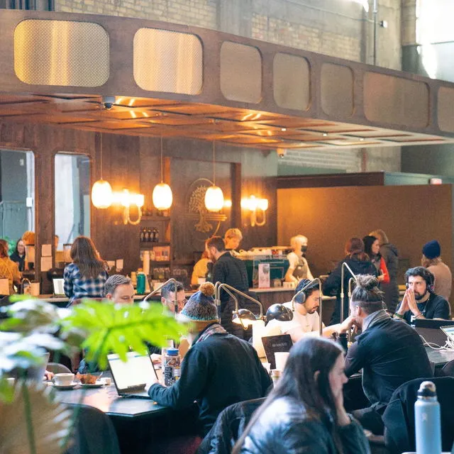 Backstory Coffee Roasters - North Loop