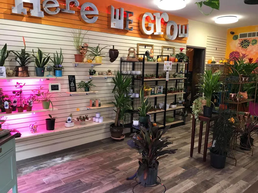 Here We Grow Plants  (Closed Temporarily)