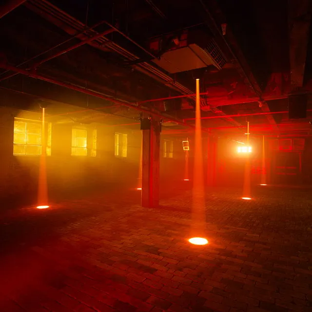 BASEMENT NY