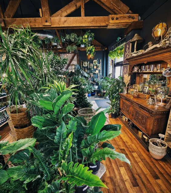 Somewhere That's Green Indoor Plant Shoppe