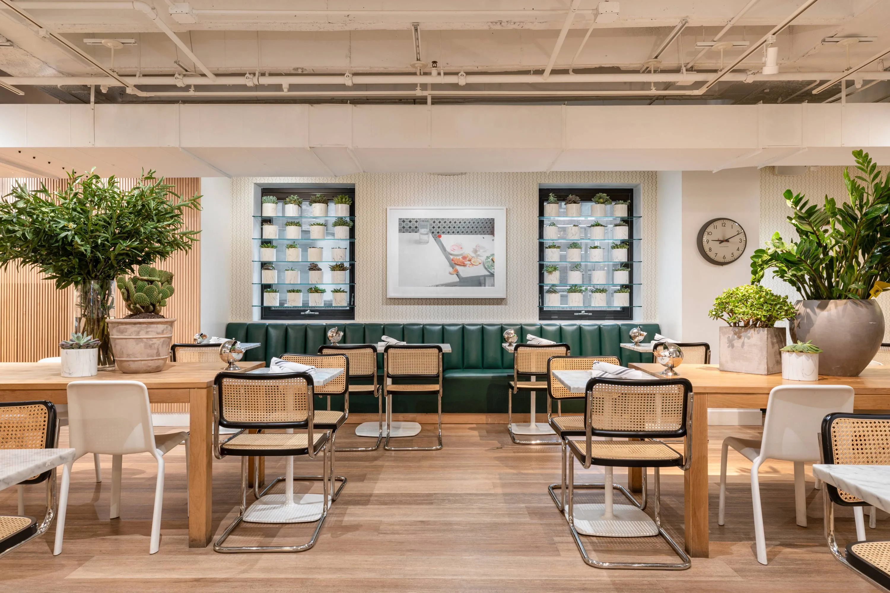The Lunchroom at SPACE 519