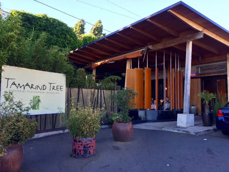 Tamarind Tree