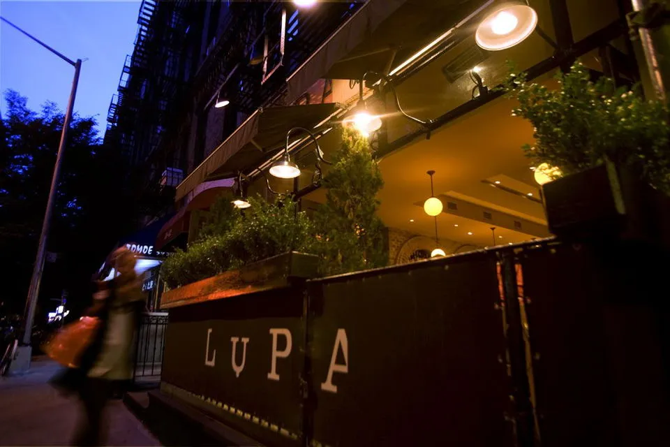 Lupa